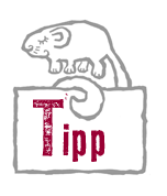 Siebenschlafer_tipp